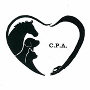 logo cpa